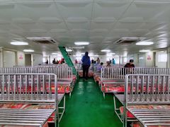 -硇洲岛旅游区
