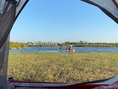 -春花秋色城市公园