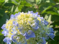 -昆嵛山石门里景区