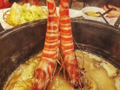 -鲜入围煮花胶鸡海鲜火锅