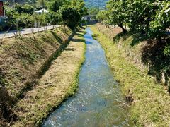 -广州市帽峰山景区