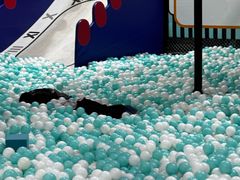 -野三坡刘家河高山漂流