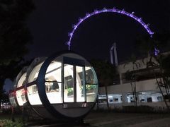 -新加坡摩天观景轮