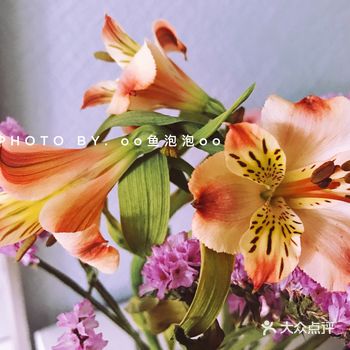 【泡泡乐玩】花骨朵开花啦