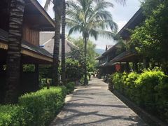 -西双版纳勐泐文化旅游区