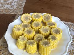-宏顺佰渔庄(松花湖店)