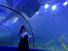 -左海海底世界