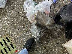 -霞涌市场海鲜摆卖区