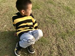 -田园东方蜜桃村的田野营地