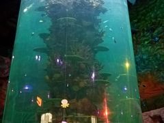 -青岛嘉年华主题乐园