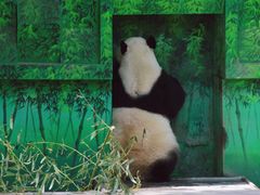 -天津市动物园