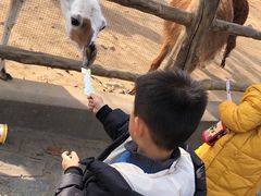 -西安秦岭野生动物园