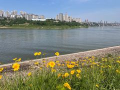 -石井坡(地铁站)