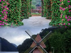 -广州市石门国家森林公园