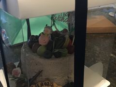 -EnergyCake蛋糕理想国