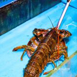 三里屯性价比极高的蒸汽海鲜餐厅