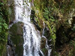 -藏龙百瀑风景区
