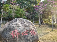 -金砂公园