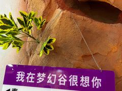 -横店影视城梦幻谷园区