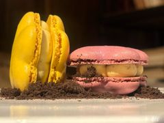 -一棵树·意大利西餐厅One Tree(新城店)