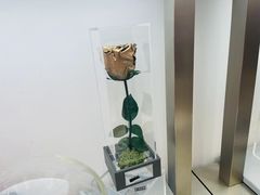 -ROSEONLY诺誓(广州K11店)