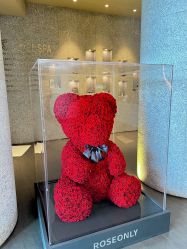 -VELEE·SPA高定疗愈会所