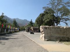 -北京鹫峰国家森林公园