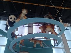 -山东省科技馆(新馆)