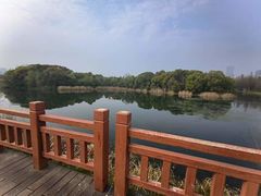 -艾溪湖湿地公园