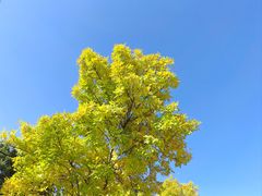 -北京西山国家森林公园