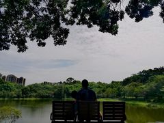 -东莞植物园