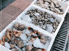 -芦潮港集贸市场