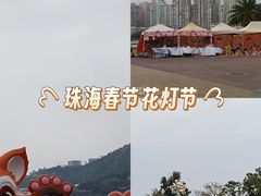 -野狸岛