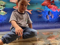 -上海昆虫博物馆