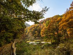 -洛阳白云山景区