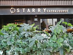 -STARRY CAFE & LOUNGE BAR(高新店)