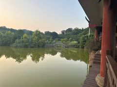 -张坝桂圆林公园