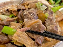 支竹羊腩煲-豪庭皇朝