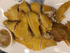 -金龙寨(龙城路店)