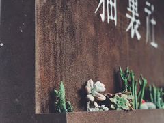 -猫里有甜
