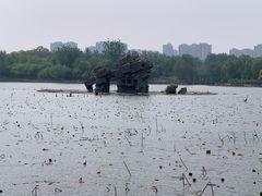 -大兴滨河森林公园