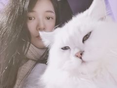 -极木²邸 人与宠物·互动社区