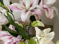 -循礼门鲜花花市(武汉循礼门店)