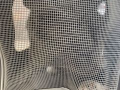 -宠颐生宠物医院·异宠猫科内科·诊疗中心宠巢店