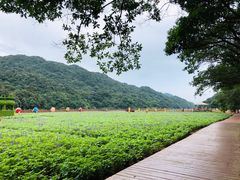 -广州市石门国家森林公园
