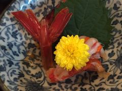 -豊 胜手丼