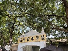 -长洲岛