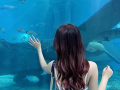-福州罗源湾海洋世界旅游区