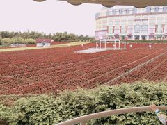 -广州花之恋城堡酒店