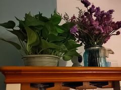 -循礼门鲜花花市(武汉循礼门店)